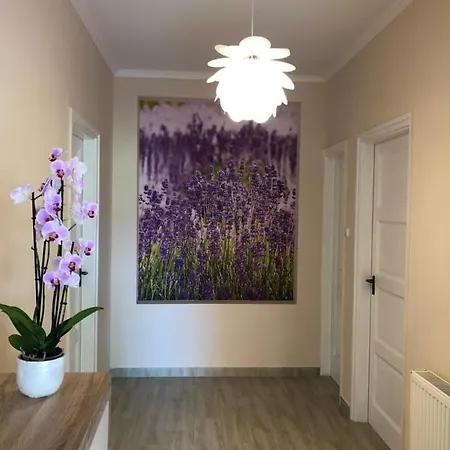 Veronika Apartament *