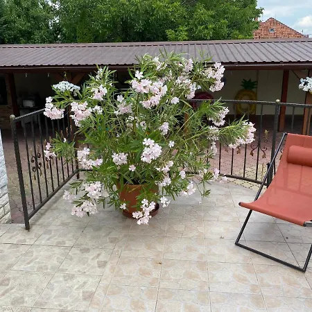 Apartment Veronika Hajduszoboszlo